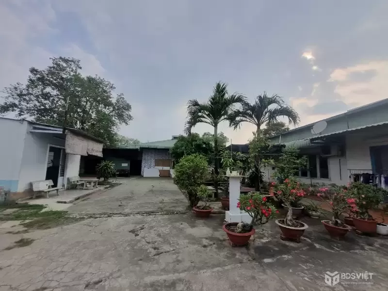 CẦN BÁN 1879M2 KHO VÀ 3 NHÀ CẤP 4 ĐƯỜNG VÀO XE TẢI