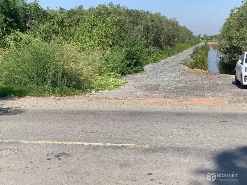 Bán đất mặt tiền quốc lộ N2 , xã Thạnh Lợi , Bến Lức tdt 22,870m2 ( đất rừng sản xuất ) giá 34 tỷ