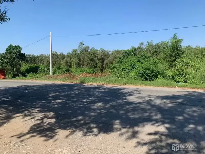 Bán đất mặt tiền quốc lộ N2 , xã Thạnh Lợi , Bến Lức tdt 22,870m2 ( đất rừng sản xuất ) giá 34 tỷ