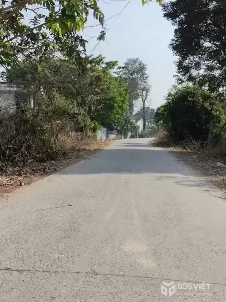 Bán nhà cấp 4 đường beton, xã Phước Thạnh, Củ Chi dt 106m2 full thổ giá 1,65 tỷ