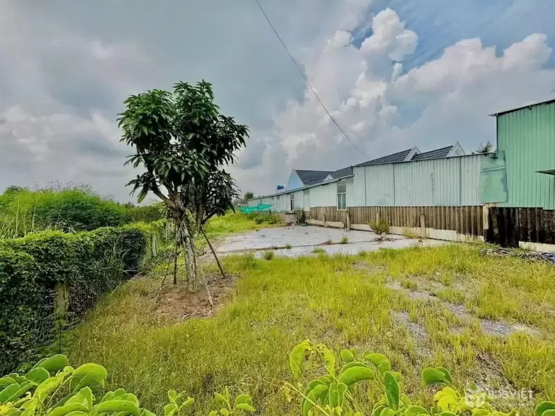 Bán đất mặt tiền ĐT 832 , xã Nhựt Ninh, Tân Trụ tdt 4000m2 ( 500m2 thổ ) giá 6,5 tỷ