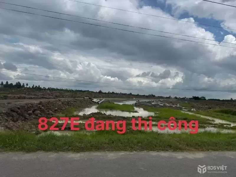 Bán đất mặt tiền ĐT 832 , xã Nhựt Ninh, Tân Trụ tdt 4000m2 ( 500m2 thổ ) giá 6,5 tỷ