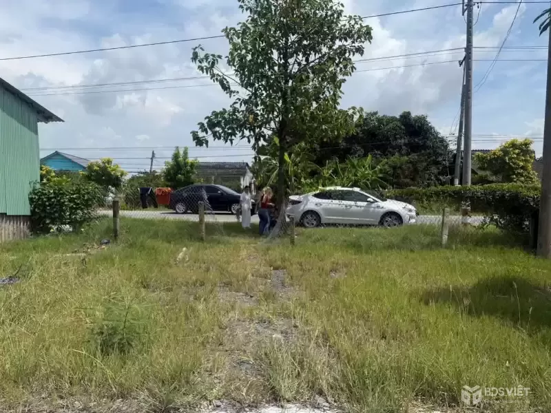 Bán đất mặt tiền ĐT 832 , xã Nhựt Ninh, Tân Trụ tdt 4000m2 ( 500m2 thổ ) giá 6,5 tỷ