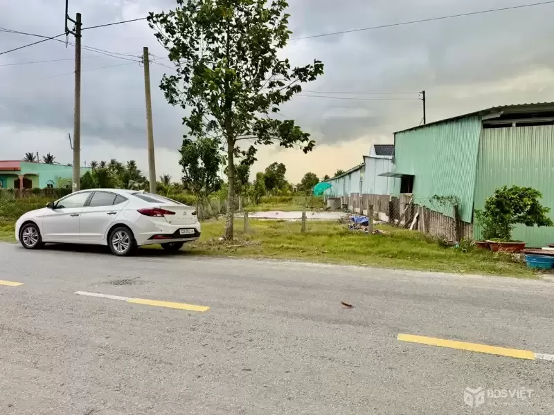 Bán đất mặt tiền ĐT 832 , xã Nhựt Ninh, Tân Trụ tdt 4000m2 ( 500m2 thổ ) giá 6,5 tỷ