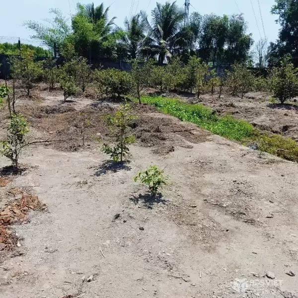 Bán nhà vườn mt đường Nguyễn Văn Ngộ , Nhị Thành , Thủ Thừa tdt 3200m2 ( 620m2 thổ) giá 9 tỷ