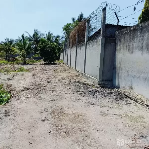 Bán nhà vườn mt đường Nguyễn Văn Ngộ , Nhị Thành , Thủ Thừa tdt 3200m2 ( 620m2 thổ) giá 9 tỷ