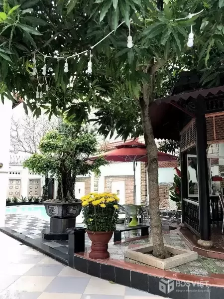 Bán biệt thự Dương Đình Nghệ gần biển, 648m2, mặt tiền 24m, giá 167 tỷ