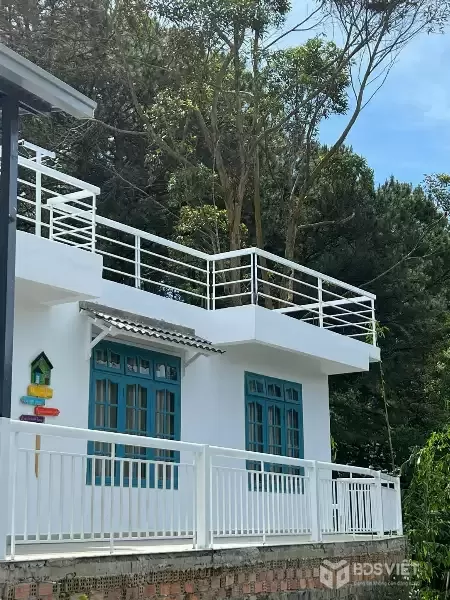 Cho thuê homestay 1500m2 đường Hùng Vương- phường 11 Đà Lạt giá 45 triệu