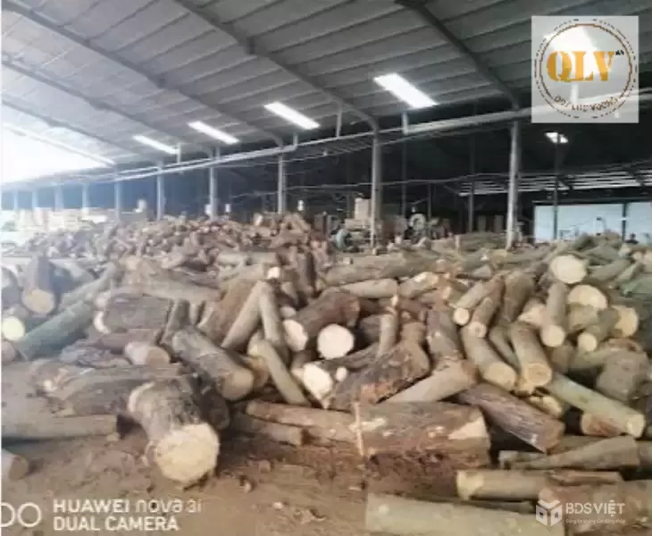 CHO THUÊ  XƯỞNG GỖ -  TÂN PHÚ,  ĐỒNG PHÚ, BP – 14.000m²