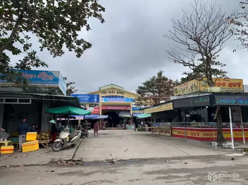 ♥ MT Kinh Doanh Hòa Xuân mới, đối diện Chợ Miếu Bông, 66m2, 3.55 tỷ