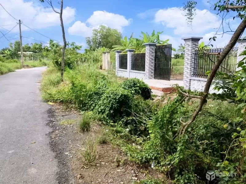 CẦN BÁN 1000M2 ĐẤT VƯỜN MT ĐƯỜNG NHỰA CÓ TRẢ CÓ BÁN