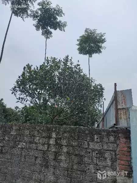 ????????Bán gấp giá rẻ đất chia lô Hợp Tiến 93m, mặt tiền 5.2m, 1.4 tỷ Mỹ Đức, Hà Nội.