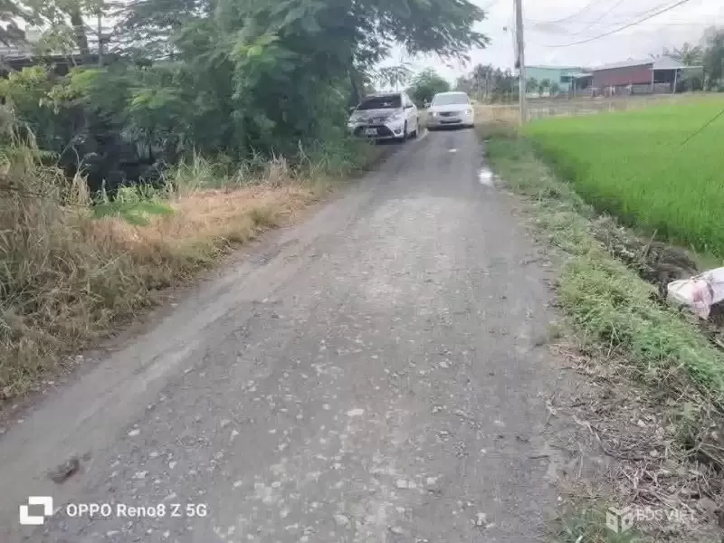 Bán đất thổ cư đường beton xã Tân Lân , Cần Đước dt 1000m2 3,699 tỷ