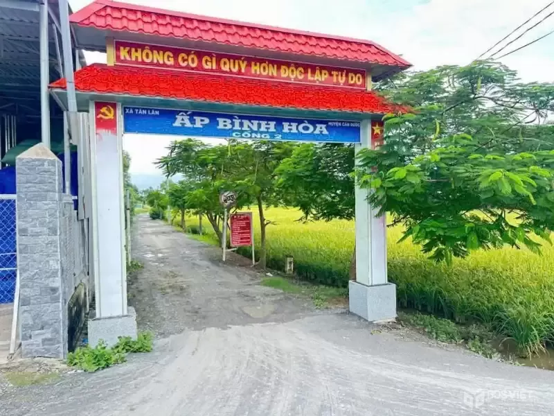 Bán đất thổ cư đường beton xã Tân Lân , Cần Đước dt 1000m2 3,699 tỷ