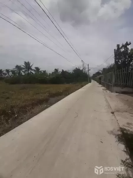 Bán đất xã Tân Trạch , Cần Đước tdt 1085m2 ( 239m2 thổ cư) thích hợp xây biệt thự, nhà vườn giá 2,45 tỷ