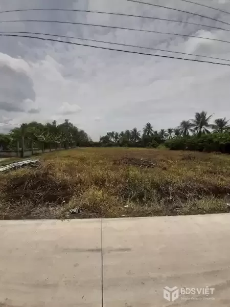 Bán đất xã Tân Trạch , Cần Đước tdt 1085m2 ( 239m2 thổ cư) thích hợp xây biệt thự, nhà vườn giá 2,45 tỷ