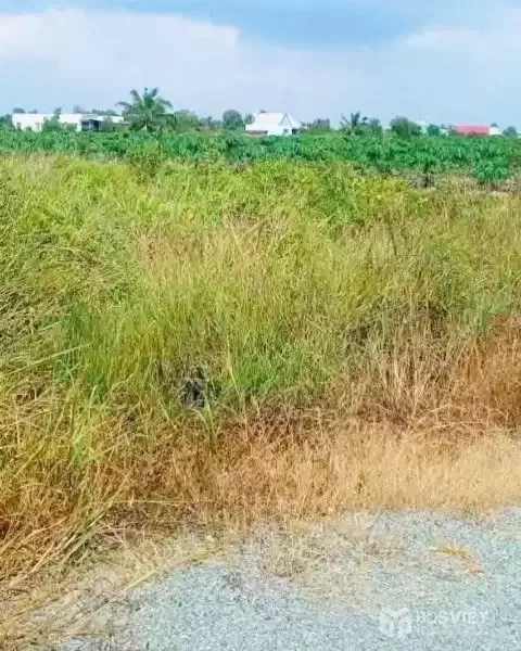 Bán đất vườn đường đá xanh oto xã Thạnh Hòa , Bến Lức dt 1000m2 giá 680 triệu