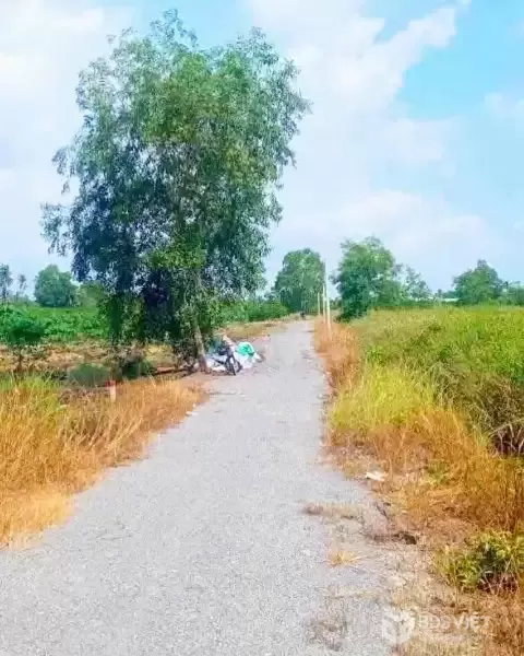 Bán đất vườn đường đá xanh oto xã Thạnh Hòa , Bến Lức dt 1000m2 giá 680 triệu