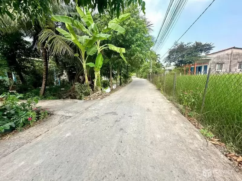 Bán đất thổ cư đường beton xe oto Long Định , Cần Đước dt 116,5m2 giá giảm còn 800 triệu
