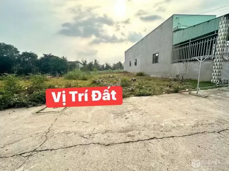 Bán đất thổ cư đường beton xe oto Long Định , Cần Đước dt 116,5m2 giá giảm còn 800 triệu