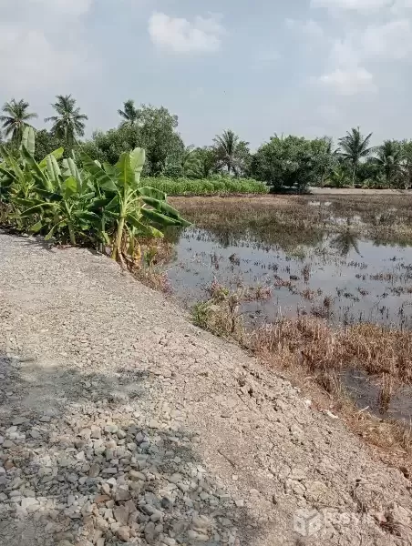 Bán lô đất dt lớn xã Hựu Thạnh , Đức Hòa tdt 5456m2 ( 197m2 thổ) giá 3,45 tỷ