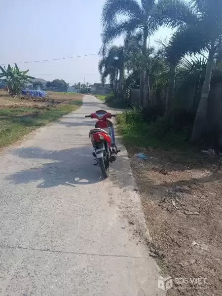 Bán nhà vườn nhỏ xinh ở Nhựt Chánh , Bến Lức tdt 900m2 ( 115m2 thổ) giá 2,2 tỷ