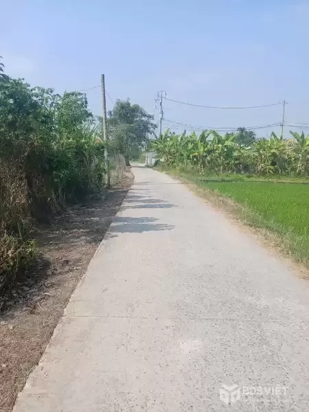 Bán nhà vườn nhỏ xinh ở Nhựt Chánh , Bến Lức tdt 900m2 ( 115m2 thổ) giá 2,2 tỷ