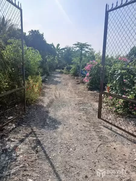 Bán nhà vườn nhỏ xinh ở Nhựt Chánh , Bến Lức tdt 900m2 ( 115m2 thổ) giá 2,2 tỷ