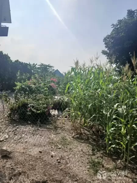 Bán nhà vườn nhỏ xinh ở Nhựt Chánh , Bến Lức tdt 900m2 ( 115m2 thổ) giá 2,2 tỷ