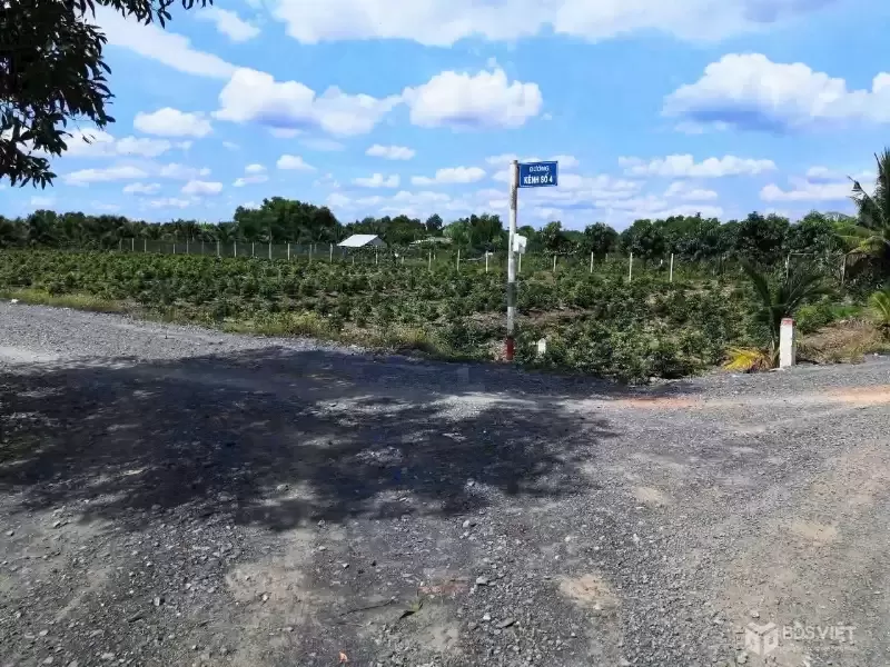 CẦN BÁN 20178M2 ĐẤT VƯỜN MT ĐƯỜNG KÊNH SỐ 4