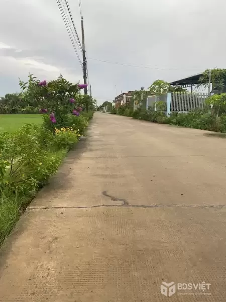 Bán 4 lô thổ cư liền kề mt đường Nguyễn Thị Điểm , xã Tân Bình ,Tân Trụ dt 215m2 giá 1 tỷ 1 lô