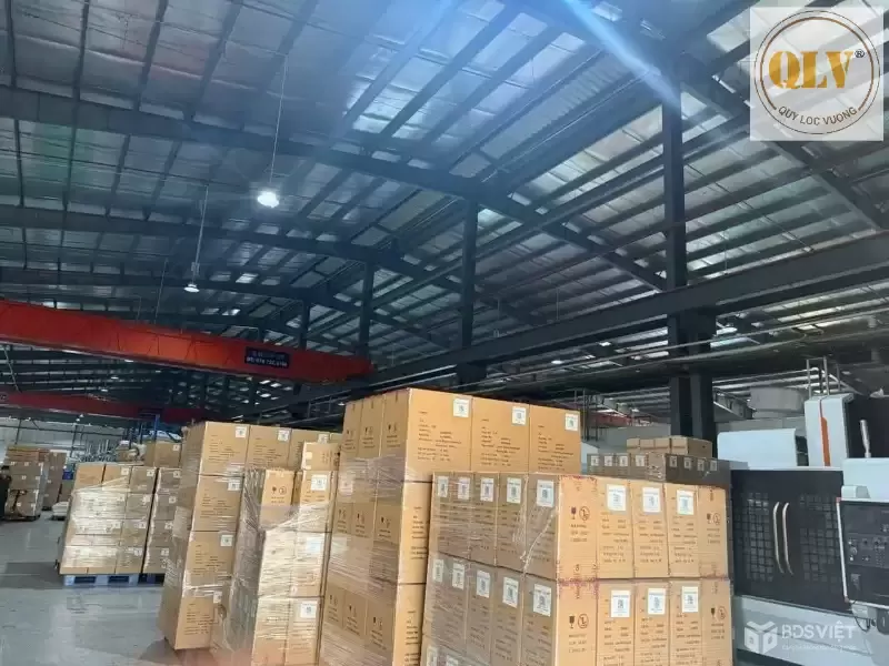 CHO THUÊ/ BÁN NHÀ XƯỞNG – KCN BÀU BÀNG, BD – 6.000m²