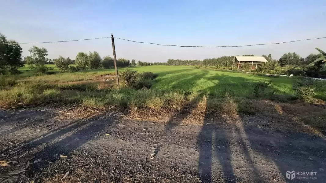 Bán đất xã Tân Phú , Đức Hòa tdt 10.075m2 ( 300m2 thổ ) đường đá xanh 7m giá 5,5 tỷ