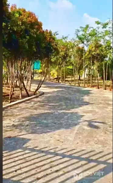 Bán gấp lô đất xã Hiệp Hòa tdt 6500m2 ( 300m2 thổ ) đường đá xanh 5m giá 5,5 tỷ