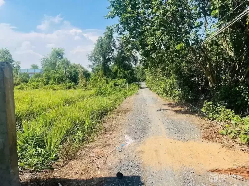 Bán đất vườn có tường rào bao quanh view kênh ở xã Bình Đức , Bến Lức dt 500m2 giá 950 triệu