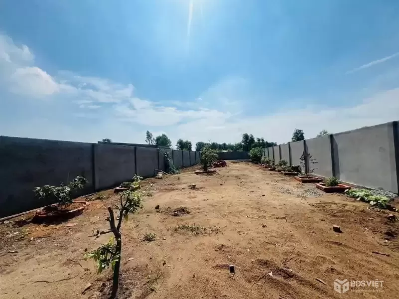 Bán đất vườn có tường rào bao quanh view kênh ở xã Bình Đức , Bến Lức dt 500m2 giá 950 triệu