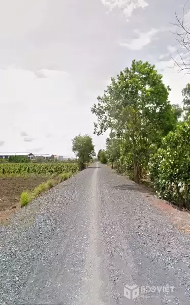 CẦN BÁN 10.000M2 ĐẤT VƯỜN MT ĐƯỜNG KÊNH XE HƠI