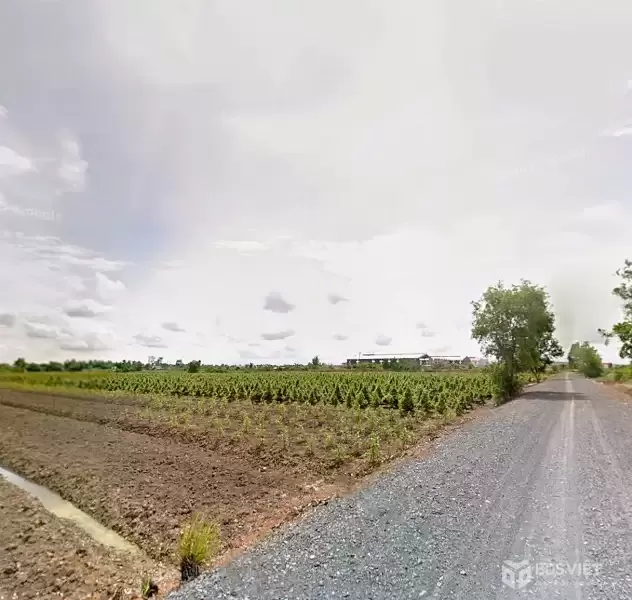 CẦN BÁN 10.000M2 ĐẤT VƯỜN MT ĐƯỜNG KÊNH XE HƠI