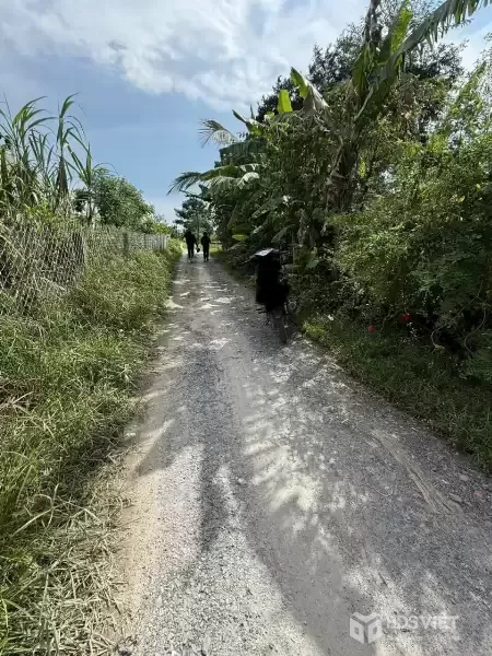 Bán đất thổ cư Đức Hòa Thượng , dt 153m2 , đường đá xanh 4m giá 870 triệu