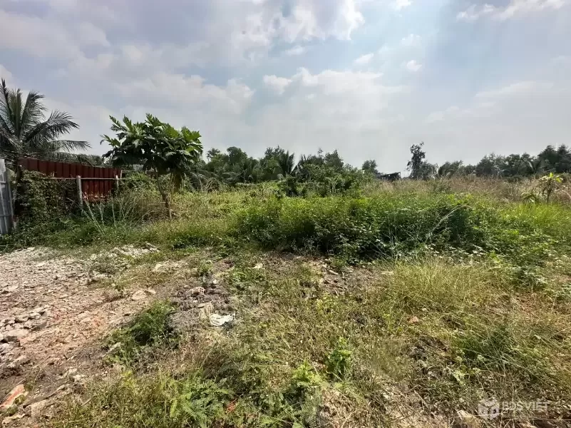 CẦN BÁN 2000M2 ĐẤT VƯỜN ĐƯỜNG XE TẢI