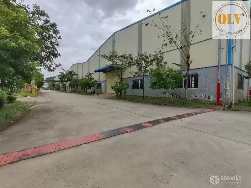 CHO THUÊ NHÀ XƯỞNG – UYÊN HƯNG, TÂN UYÊN, BD – 65.600m²