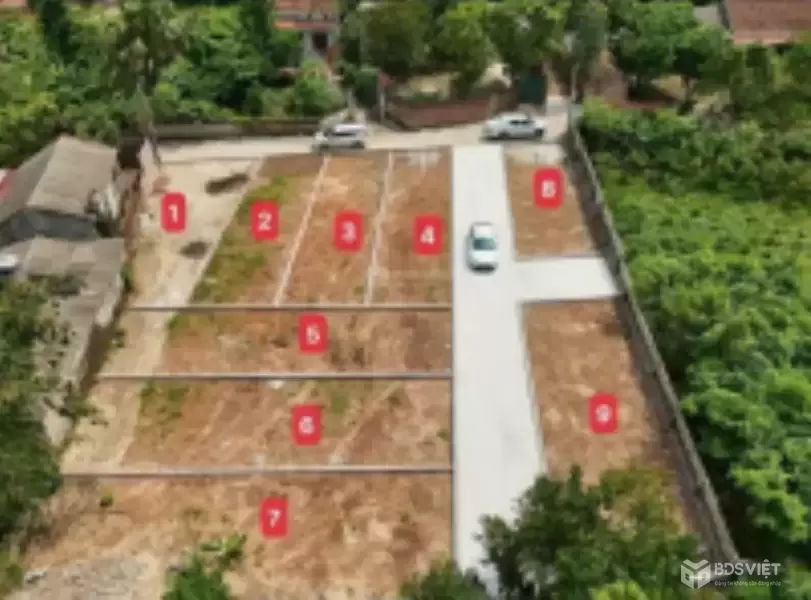 Cần tiền bán lô đất 116m² CLN tại Cẩm Lĩnh, Ba Vì, Hà Nội.