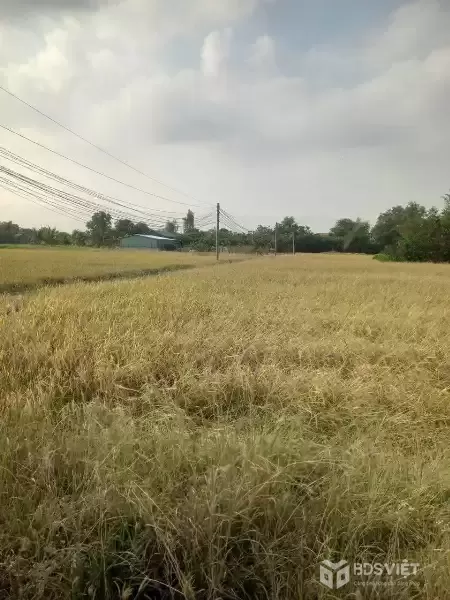 Bán đất thổ cư full đường xe tải xã Phước Đông , Cần Đước dt 1000m2 giá 3,5 tỷ