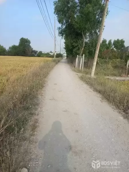 Bán đất thổ cư full đường xe tải xã Phước Đông , Cần Đước dt 1000m2 giá 3,5 tỷ