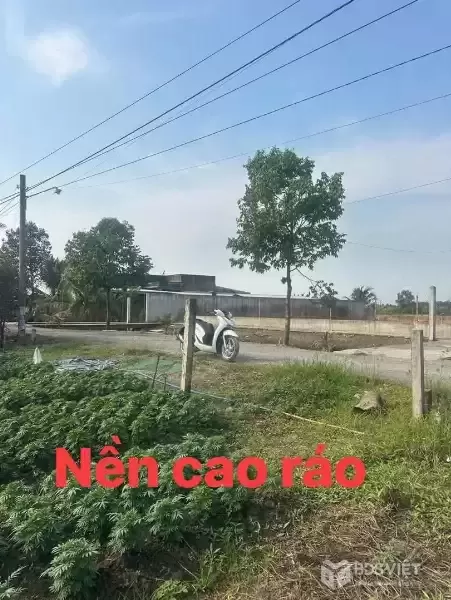 Bán đất thổ cư đường đá xanh xã Long Hòa , Cần Đước , dt 135m2 giá 1,05 tỷ