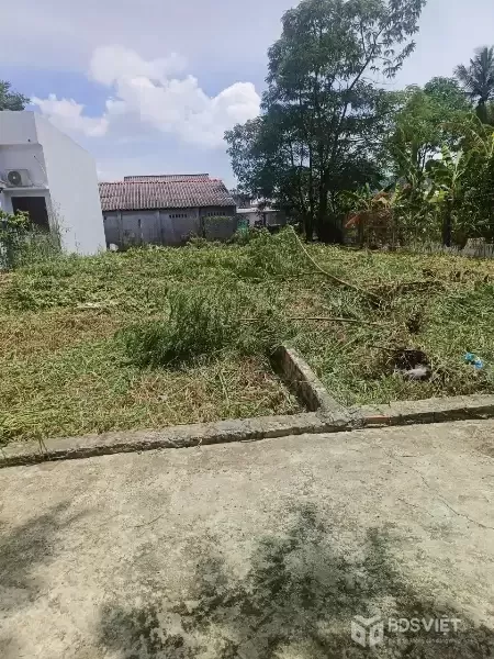 Bán đất thổ cư đường xe 3 gác xã Phước Vân , Cần Đước dt 230m2 giá chốt 1,5 tỷ