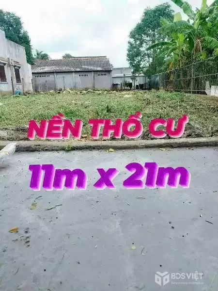 Bán đất thổ cư đường xe 3 gác xã Phước Vân , Cần Đước dt 230m2 giá chốt 1,5 tỷ