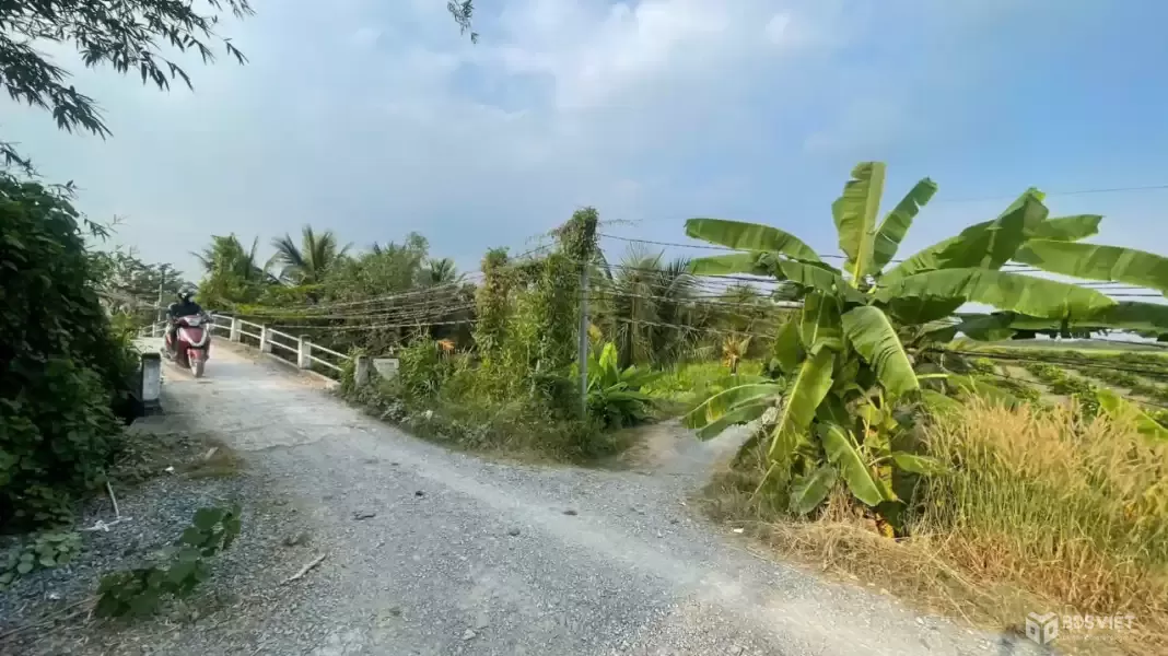 Bán đất vườn mặt tiền kênh ở xã Tân Hòa, Bến Lức dt 7896m2 giá 7,2 tỷ