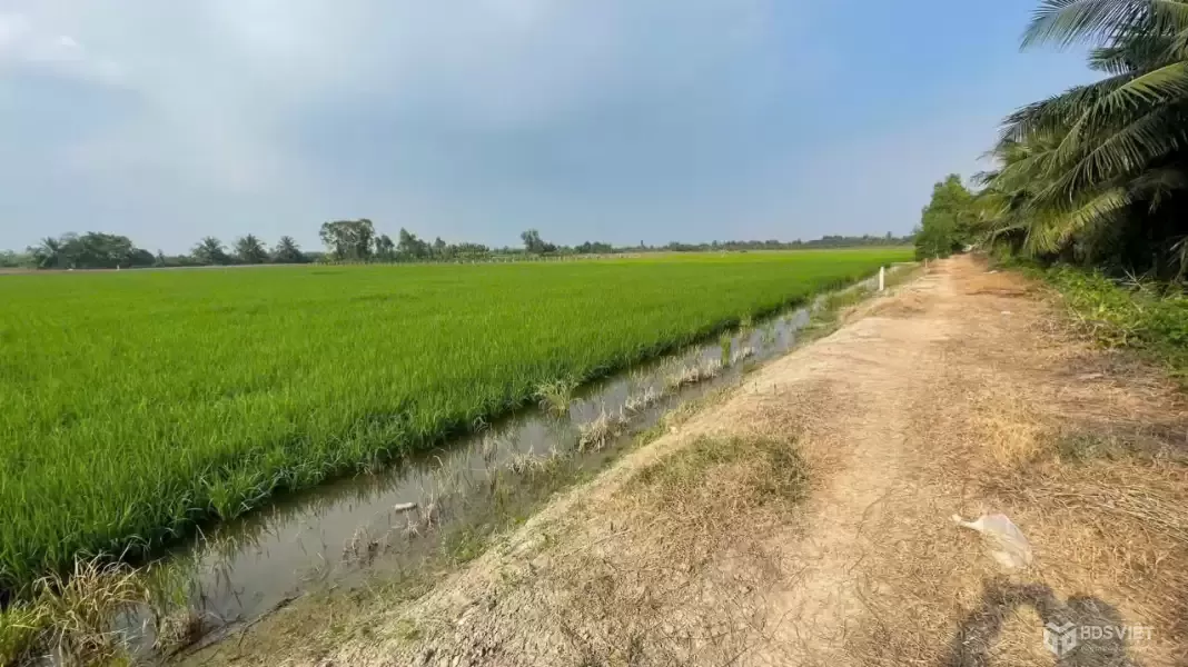 Bán đất vườn mặt tiền kênh ở xã Tân Hòa, Bến Lức dt 7896m2 giá 7,2 tỷ