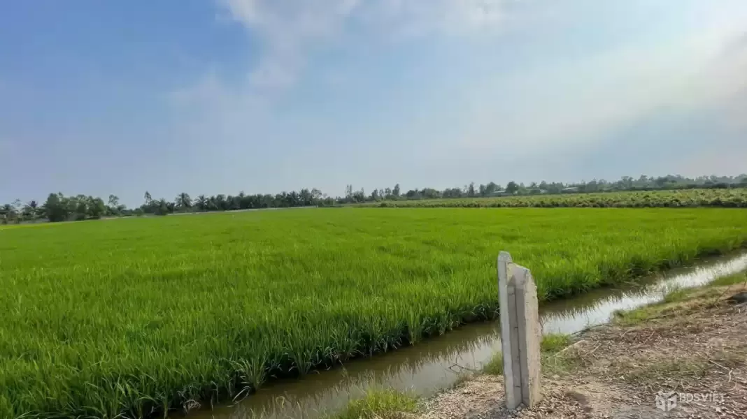 Bán đất vườn mặt tiền kênh ở xã Tân Hòa, Bến Lức dt 7896m2 giá 7,2 tỷ
